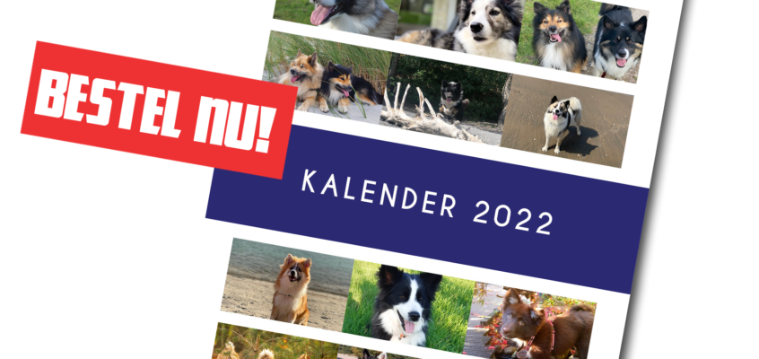 Bestel onze IJslandse honden-kalender 2022!