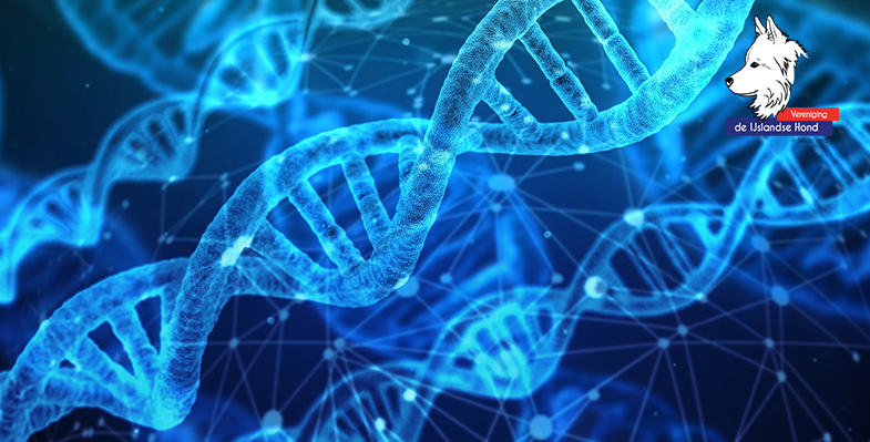 Lezing Embark DNA-test door Marjoleine Roosendaal 13 mei 2023 – Meld je aan
