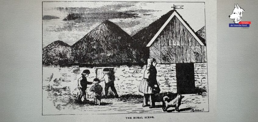 ISIC – 8 February 20:00 CET: “From Settlement to Survival: A Thousand Years of Iceland’s National Dog”